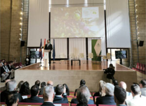 Presentada la  I Estrategia Andaluza del Olivar