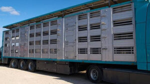 Transporte de animales: La CE quiere acabar con el cuaderno de a bordo en papel