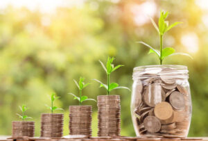 Cataluña aumenta hasta 25.000€ la subvención en seguros agrarios