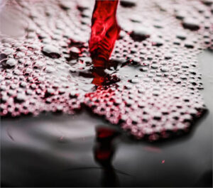 UCCL advierte: “Está en riesgo el futuro del vino en la Ribera del Duero”