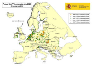 España levanta las medidas preventivas contra la influenza aviar