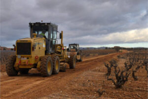 Aprobadas medidas de flexibilización para productores hortofrutícolas y vitivinícolas afectados por la dana