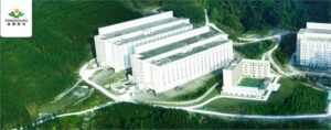 Corea del Sur impulsan un modelo de granja porcina vertical con inteligencia artificial