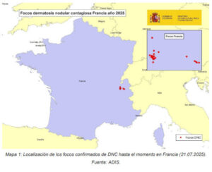 Francia suma nuevos focos de dermatosis nodular contagiosa y amplía la zona de restricción