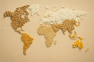 Récord en la producción mundial de cereales y soja en 2025/26