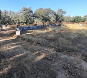 El incendio de Valdecaballeros ha calcinado más de 800 colmenas y cientos de hectáreas de olivar, según UPA-UCE