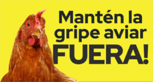 La UE refuerza la prevención frente a la influenza aviar con la campaña #NoBirdFlu