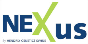 Hendrix Genetics Swine lanza el Nexus 100 en SPACE 2025