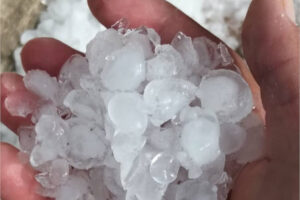Pedrisco y tormentas disparan la siniestralidad del seguro agrario