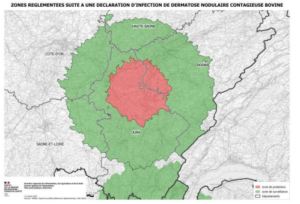 Detectado en Francia un caso de dermatosis nodular contagiosa en zona libre