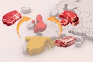 Reino Unido acepta el porcino español  y Argentina los productos curados