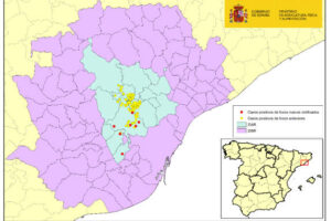 Dos nuevos focos de PPA fuera de la zona de alto riesgo