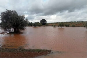 Temporal Leonardo: alivio para los pantanos pero ruina de las cosechas