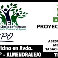 Imagen miniatura para la imagen principal del anuncio