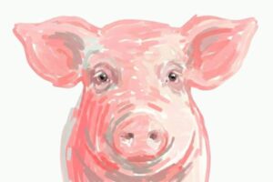 Europa congela el precio del cerdo