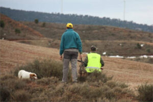 Más de 9.300 jabalís retirados en Aragón por la PPA