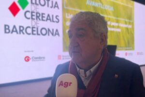 Josep Puigdollers: «Los jabalíes no están encerrados en una granja y eso me da miedo»