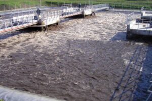 Purines: de deyección a oro liquido