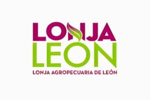 Estabilidad de precios de la carne en la lonja de León aunque bajan los pasteros