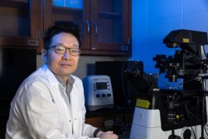 La edición genética en aves abre la vía a gallinas resistentes a virus