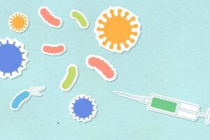 La UE actualiza la lista de terceros países aptos para exportar ganado según su uso de antibióticos