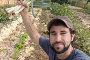 La lana de oveja podría ser la respuesta a dos crisis agrarias a la vez