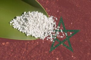 EEUU elimina temporalmente los aranceles al fertilizante fosfatado de Marruecos