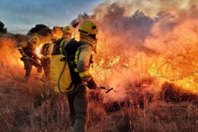 Los incendios de Madrid, Toledo y Ávila cierran accesos al monte y ponen en alerta al sector agrario