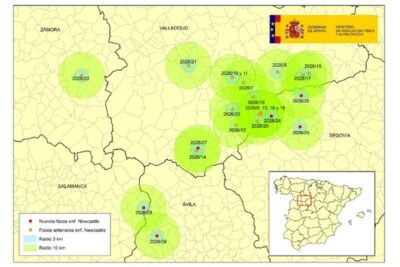 Vacunación obligatoria contra la enfermedad de  Newcastle en toda Castilla y León