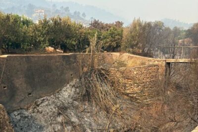 Barrancos sin limpiar, el reproche de AVA-ASAJA tras el incendio de Espadán