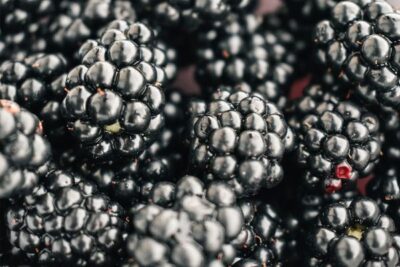 Cierra la campaña de berries onuvense, marcada por el tren de borrascas