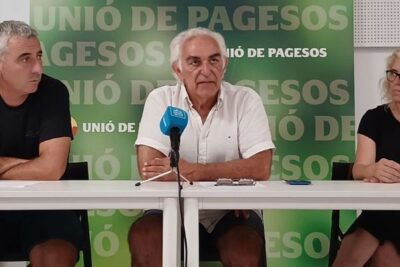 La fruta de Lleida llega pequeña y con la campaña más cara