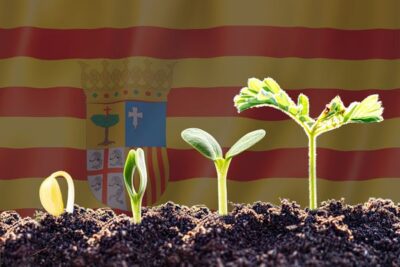 La renta agraria aragonesa crece un 10,89% en 2025 y roza los 2.855 millones
