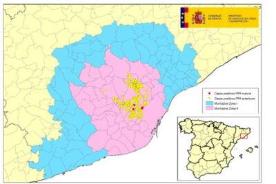 Un nuevo foco de peste porcina africana suma cinco jabalíes positivos en Barcelona y Sant Cugat del Vallès