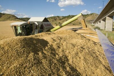 «Menos producto que nunca y precios a la baja»: UPA denuncia el mercado del cereal