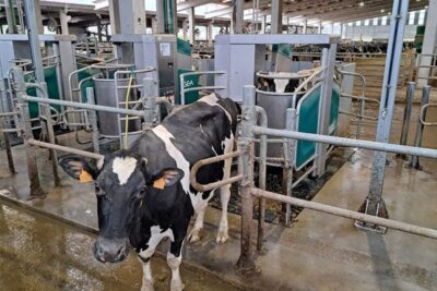 Unións Agrarias reclama más controles en la cadena láctea ante la situación de las granjas gallegas