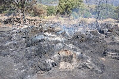 Unión de Uniones exige que las ayudas por los incendios de 2026 se calculen por daño real, no por seguro