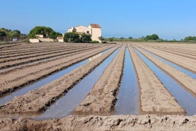 “Reutilizar las aguas dos o más veces”: el IRTA describe una situación límite en Cataluña