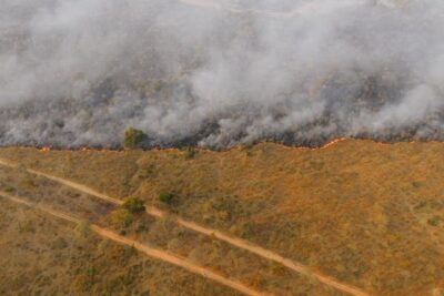Castilla y León autoriza ayudas de 170.500 € a 31 profesionales afectados por los incendios