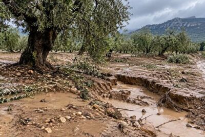 Temporales en el Baix Ebre, piden peritaje urgente y ayudas para las fincas dañadas