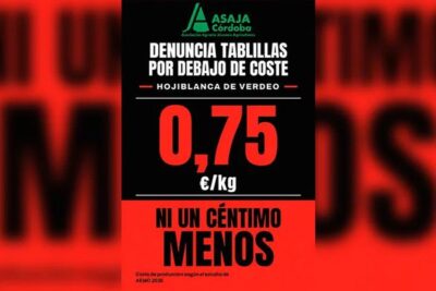 Hojiblanca de verdeo a menos de 0,60 euros: ASAJA Córdoba pide denunciar
